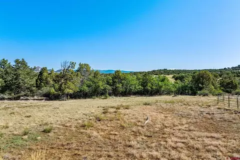 569 Cr 233, Durango, CO 81301 photo 20