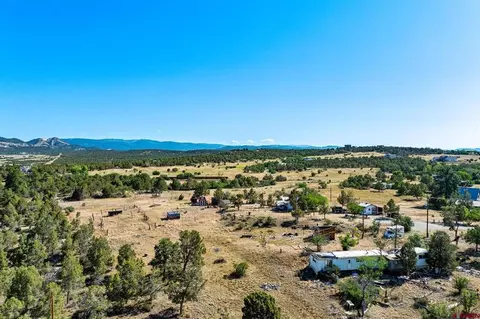 569 Cr 233, Durango, CO 81301 photo 16