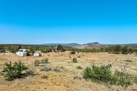 569 Cr 233, Durango, CO 81301 photo 12