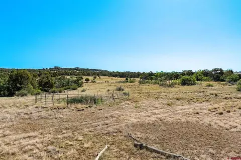 569 Cr 233, Durango, CO 81301 photo 21