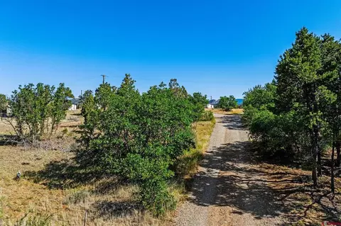 569 Cr 233, Durango, CO 81301 photo 14
