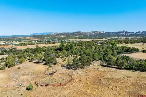 569 Cr 233, Durango, CO 81301 photo 11