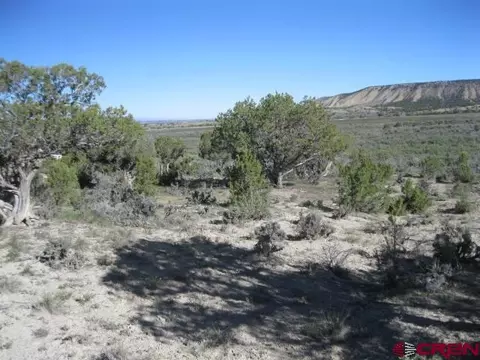 tbd Lot 2 Buckhorn Rd, Montrose, CO 81403