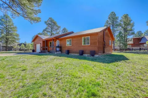 42 W Radiant Ct, Pagosa Springs, CO 81147
