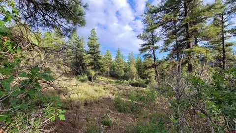 814 Ginger Cir, Pagosa Springs, CO 81147