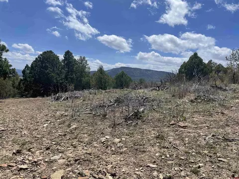 1131 Lodge Pole Dr, Pagosa Springs, CO 81147