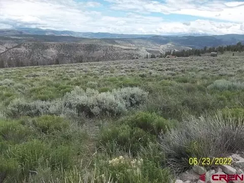 1092 Cinnamon Trl, Powderhorn, CO 81243