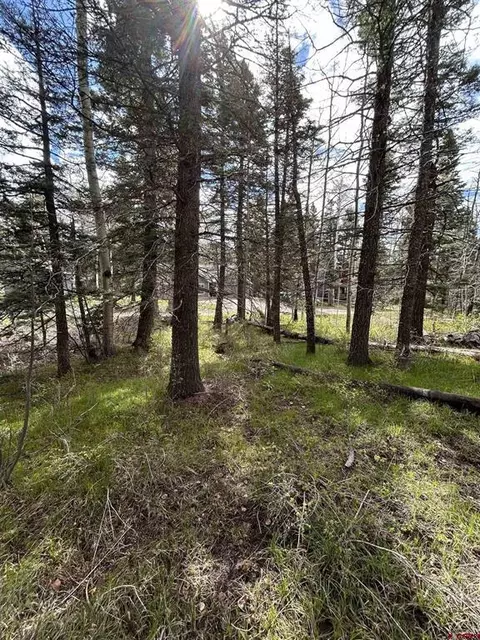 112 Sierra Verde Dr, Durango, CO 81301 photo 6
