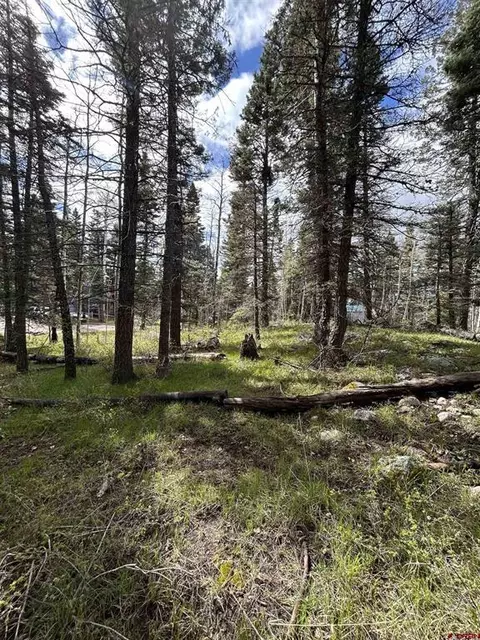 112 Sierra Verde Dr, Durango, CO 81301 photo 4