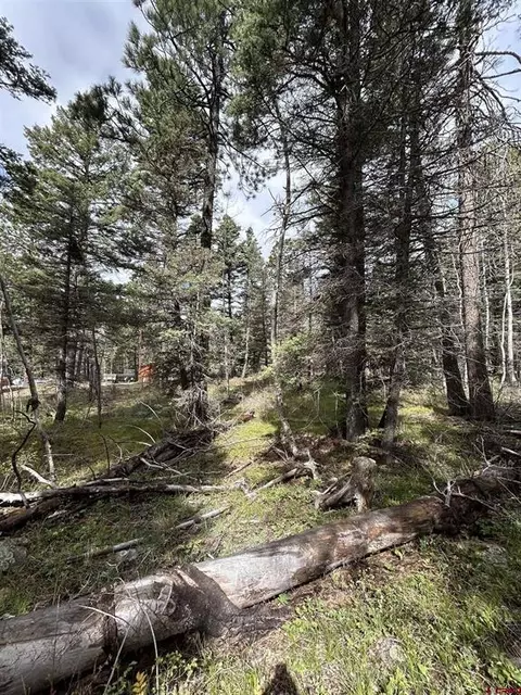 112 Sierra Verde Dr, Durango, CO 81301 photo 5