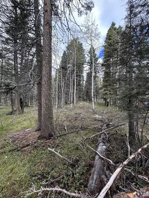 112 Sierra Verde Dr, Durango, CO 81301 photo 3