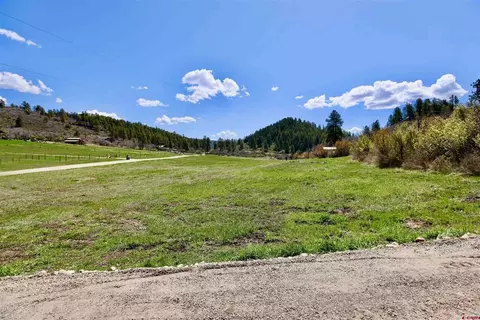 242 Pine Springs Dr, Bayfield, CO 81122
