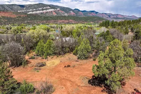 3458 County Road 250, Durango, CO 81301 photo 24