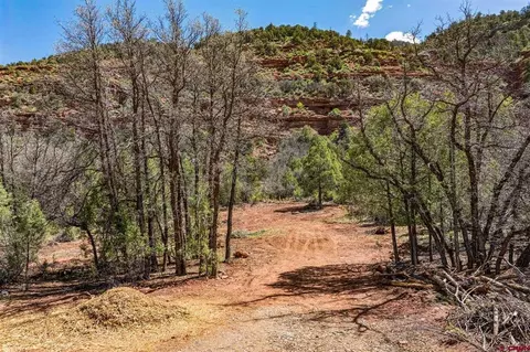 3458 County Road 250, Durango, CO 81301 photo 20
