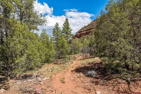 3458 County Road 250, Durango, CO 81301 photo 31