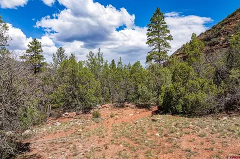 3458 County Road 250, Durango, CO 81301 photo 29
