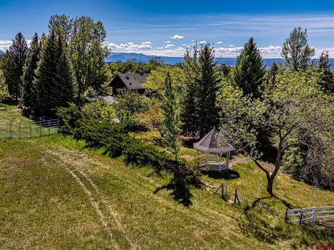 Exterior - 16331 2550 Rd, Cedaredge, CO 81413 photo 6 of 8