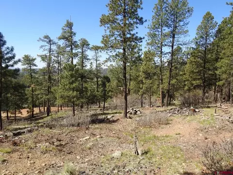 1142 Deer Ridge Dr, Bayfield, CO 81122