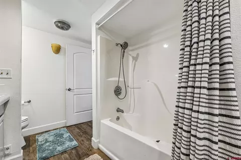 Bath - 160 Brice Pl, Durango, CO 81303 photo 6 of 7