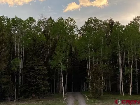 403 Crest Dr, Cimarron, CO 81220 photo 28