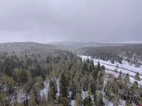 403 Crest Dr, Cimarron, CO 81220 photo 6