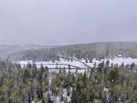 403 Crest Dr, Cimarron, CO 81220 photo 9