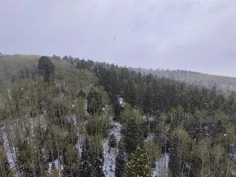 403 Crest Dr, Cimarron, CO 81220 photo 7