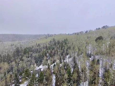 403 Crest Dr, Cimarron, CO 81220 photo 8