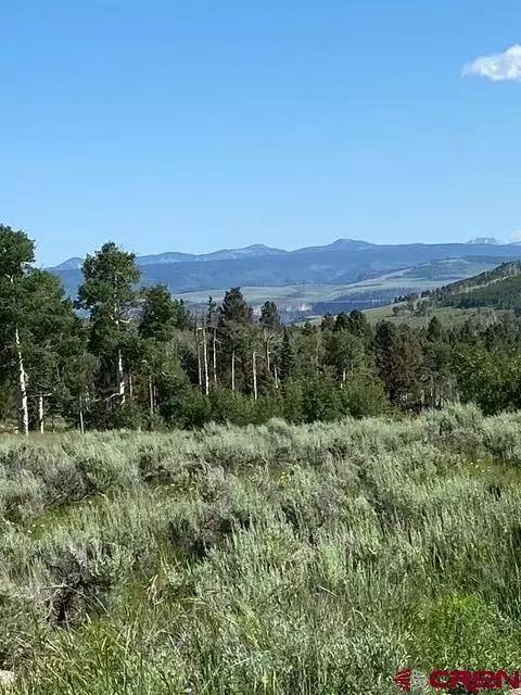 403 Crest Dr, Cimarron, CO 81220 photo 36