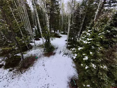 403 Crest Dr, Cimarron, CO 81220 photo 11