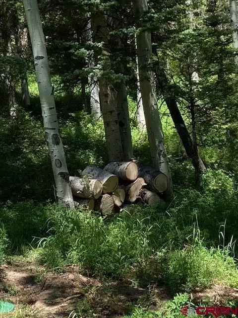 403 Crest Dr, Cimarron, CO 81220 photo 35