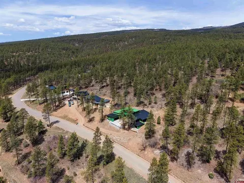 View/Area - 910 Red Canyon Trl, Durango, CO 81301 photo 4 of 4