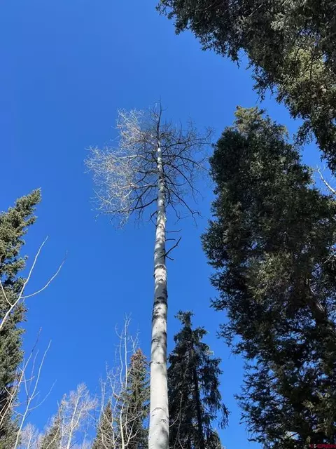 Other - 114 116 Meadowbrook Park, Creede, CO 81130 photo 19 of 19