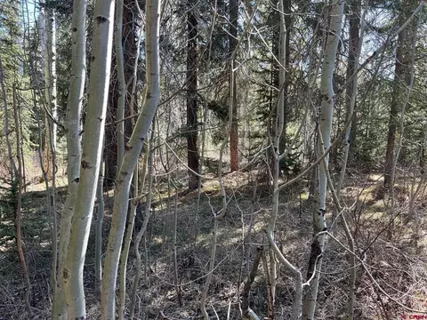 Other - 114 116 Meadowbrook Park, Creede, CO 81130 photo 8 of 19