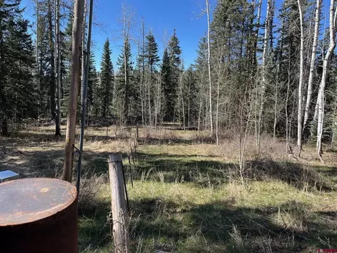 Other - 114 116 Meadowbrook Park, Creede, CO 81130 photo 18 of 19