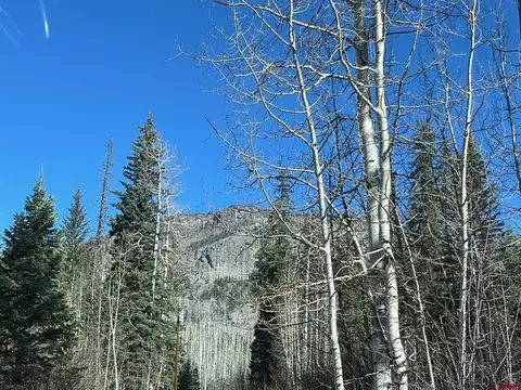Other - 114 116 Meadowbrook Park, Creede, CO 81130 photo 16 of 19