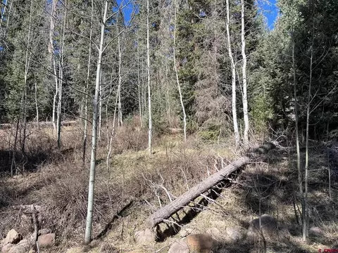 Other - 114 116 Meadowbrook Park, Creede, CO 81130 photo 7 of 19