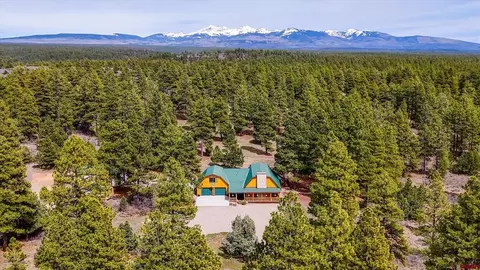 15586 Road 365, Mancos, CO 81328