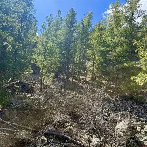Tdb Lochleven Lane, Almont, CO 81210