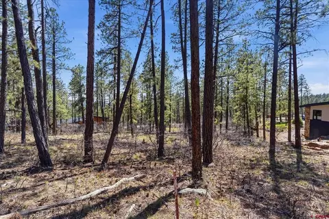 1096 Red Canyon Trl, Durango, CO 81301 photo 14