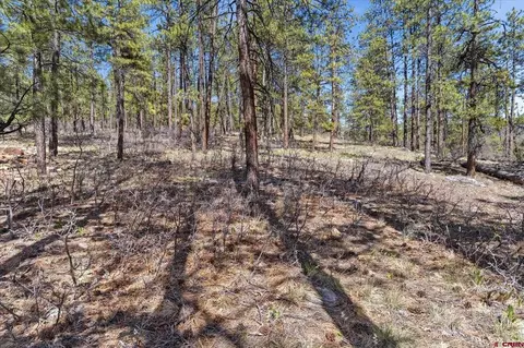 1096 Red Canyon Trl, Durango, CO 81301 photo 11