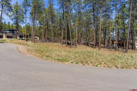 1096 Red Canyon Trl, Durango, CO 81301 photo 6