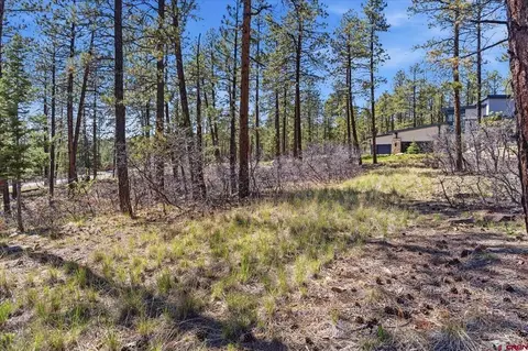 1096 Red Canyon Trl, Durango, CO 81301 photo 9