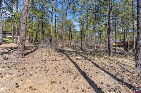 1096 Red Canyon Trl, Durango, CO 81301 photo 5