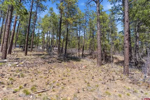 1096 Red Canyon Trl, Durango, CO 81301 photo 7