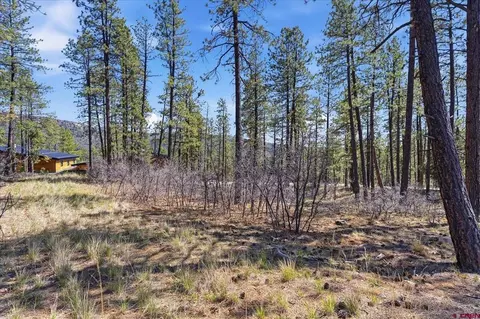 1096 Red Canyon Trl, Durango, CO 81301 photo 10