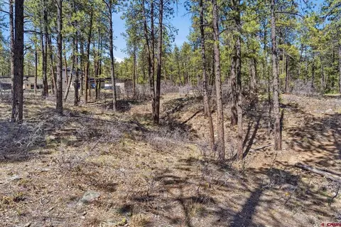 1096 Red Canyon Trl, Durango, CO 81301 photo 8