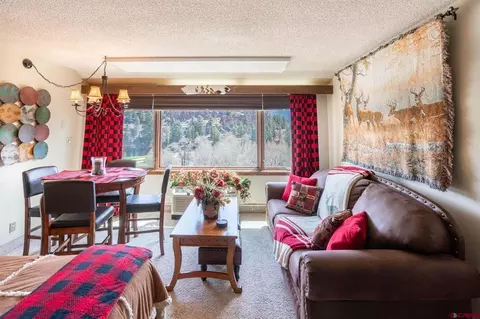 314 N Tamarron Dr #219, Durango, CO 81301