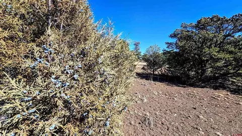 180 Silver Thread Cir, South Fork, CO 81154 photo 10