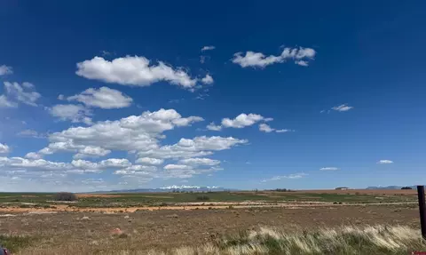 tbd Road 19, Yellow Jacket, CO 81335